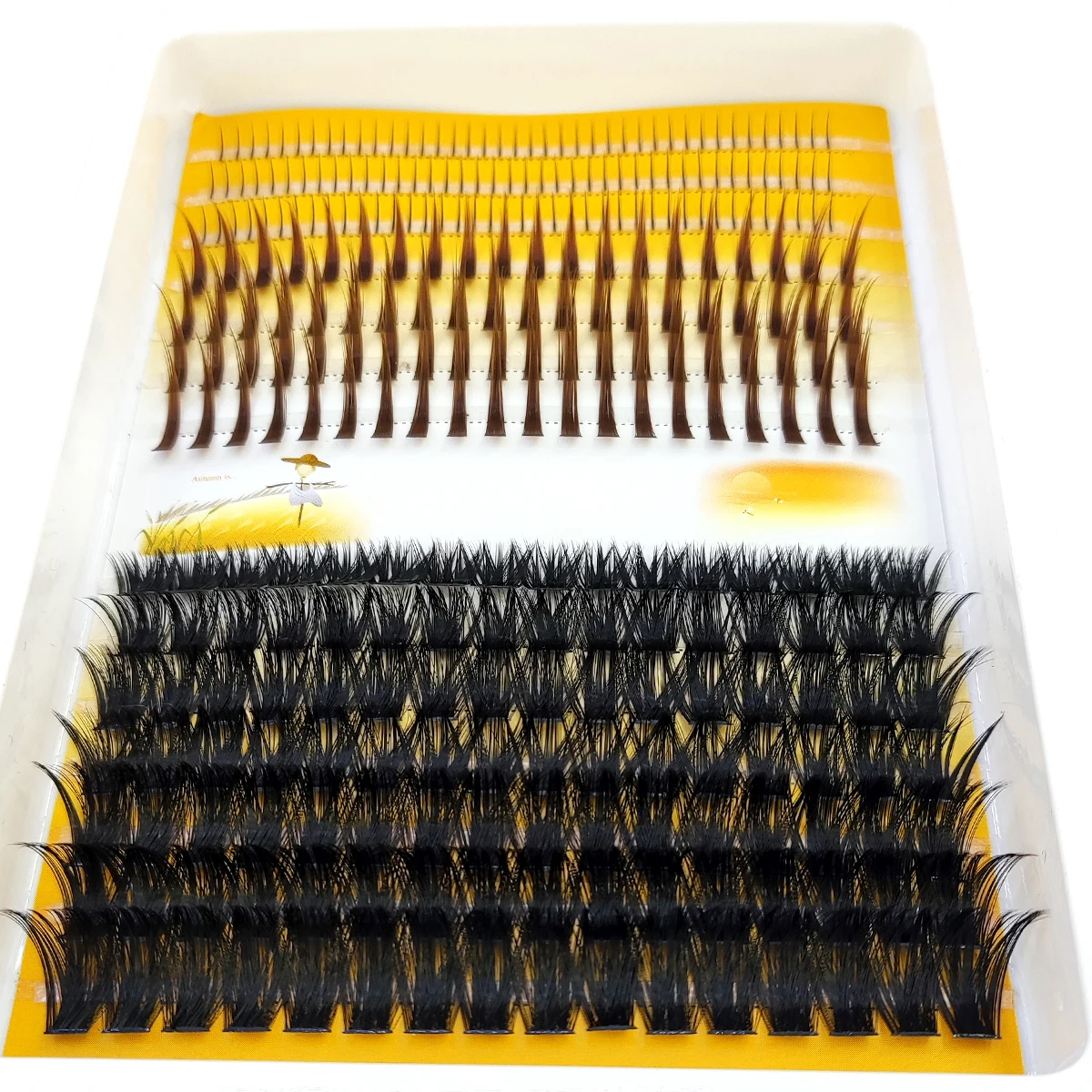 Накладные ресницы AMSDCN 60D-1 – обзор и цена Eyelash Extension Doll Eye